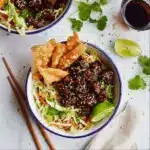 Teriyaki Chicken Wonton Taco Bowls Recipe