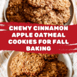 Cinnamon Apple Oatmeal Cookies Recipe