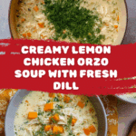Lemon Chicken Orzo Soup Recipe