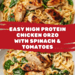 High Protein Chicken Orzo Recipe