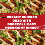 Creamy Chicken Orzo with Broccoli Recipe