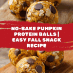 Pumpkin Protein Balls Recipe