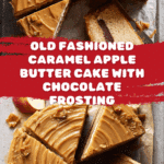 pple Butter Cake with Chocolate Frosting Recipe